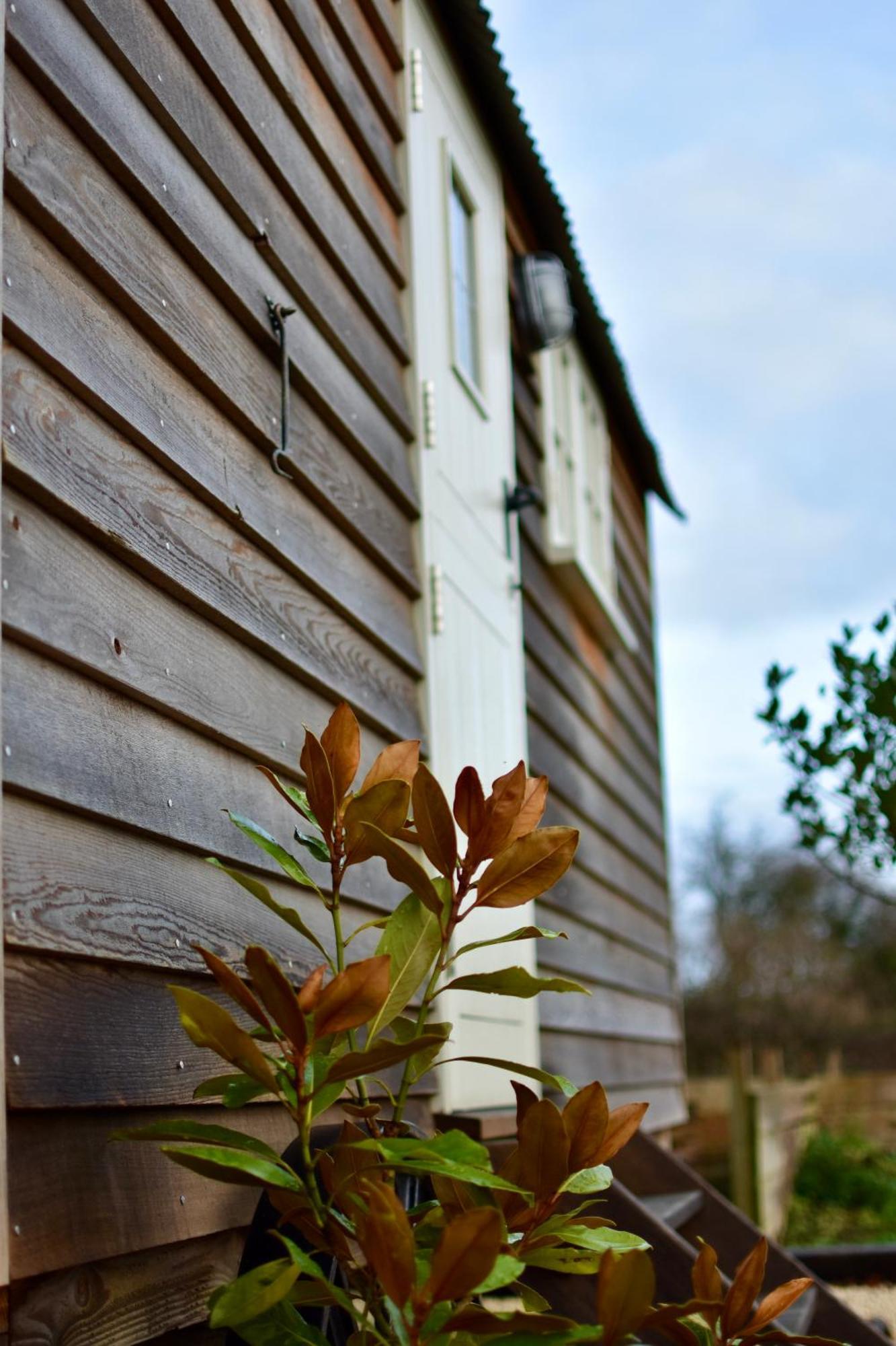 דירות Burpham The Deer Hut מראה חיצוני תמונה