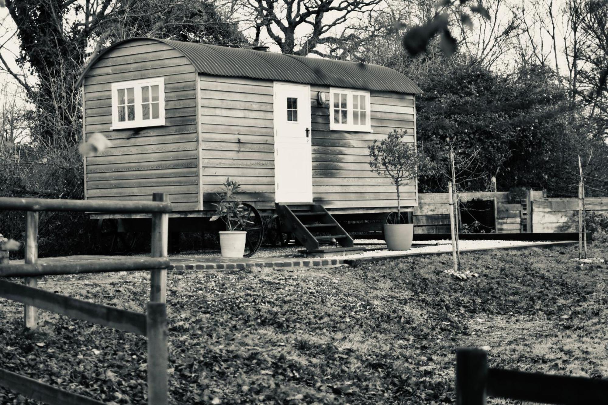 דירות Burpham The Deer Hut מראה חיצוני תמונה